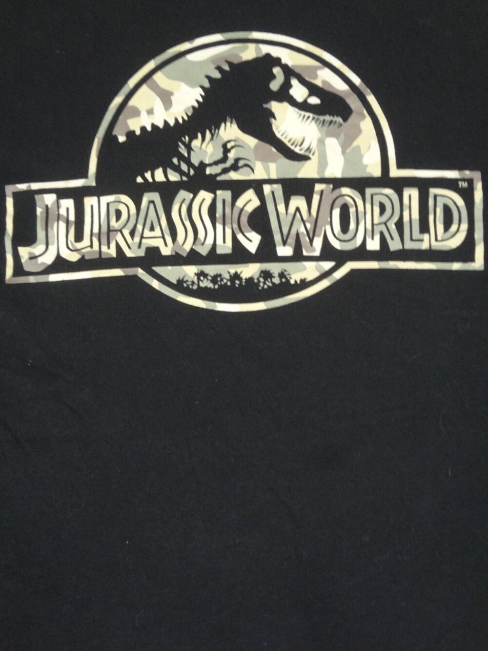 JURASSIC WORLD CAMO CAMOFLAGE LOGO JURASSIC PARK - BLACK 2XL T-SHIRT L901